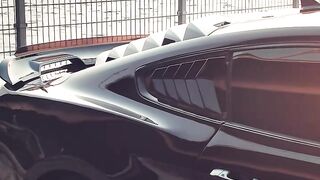 Mustang