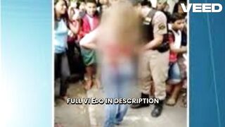 portal zacarias briga