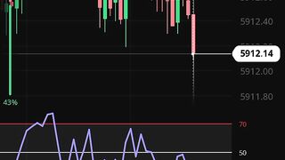 forex trader part 1