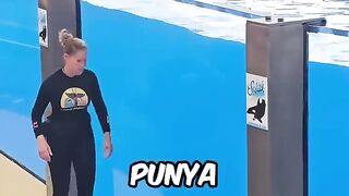 Orca paling pinter