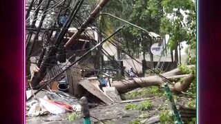 Terjadi bencana pohon tumbang di Jalan Jombang Raya
