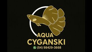 Meu humilde criatorio, meu passa tempo.