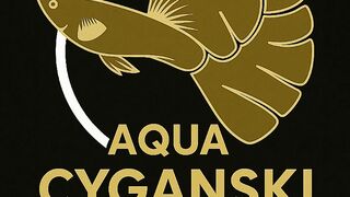 Construindo uma nova estufa para criação de guppies