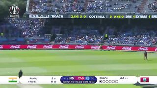 Cricket news