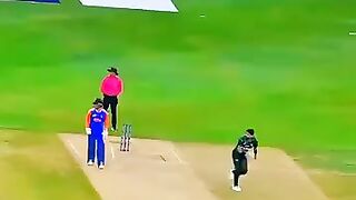 Cricket news