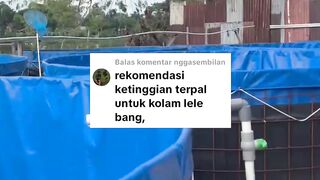 BEDA-BEDA - Tinggi kolam budidaya lele tergantung SEGMENnya