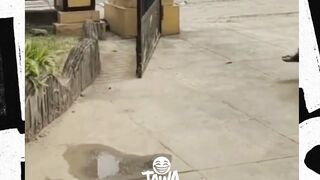 bahaya der udah dari anak sunmori wkwkw