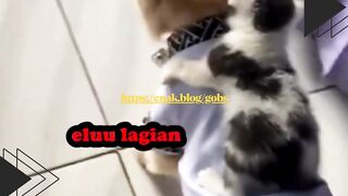 Ketauan Main Jauh, Langsung Dijemput Emaknya!
