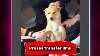Proses transfer ilmu ke GUGUK