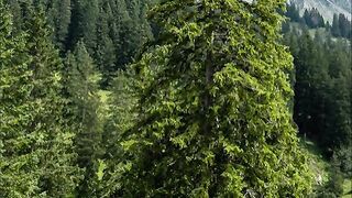 Música para meditar- Música para relaxar acalmar excluir pensamentos ruins canal relax- Fragmentos 53