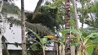 Jokgakarta