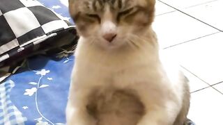 Kalo aku gak ada di surga, manusia main sama siapa ya?