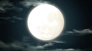 Demon Slayer ,Unwavering Resolve Arc , Season 1 episode 17 Full HD in Hindi dub