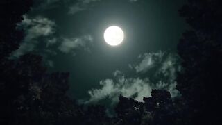 Demon Slayer ,Unwavering Resolve Arc , Season 1 episode 18 Full HD in Hindi dub