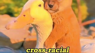 Animals really have feelings