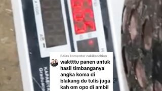 JUAL-BELI ikan lele dengan pemain LAMA lebih tenang daripada dengan PEMULA