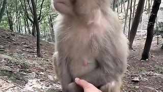 LUCU DAN MENGGEMASKAN