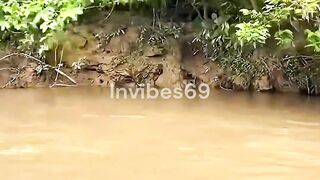 Amazon Fishermen Catch Monster Fish With Simple Trap!