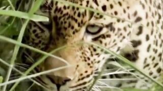 Beautiful nature