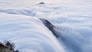 The magic of nature