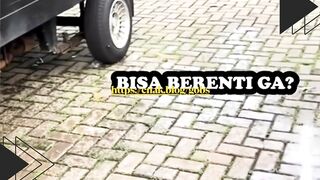 Dikerjain Majikannya, Si Kucing Ngamuk!