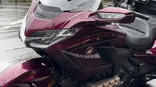 こちらゴールドウィングはなんと 愛知は伊良湖から片道380キロを雨のなか走って来たという