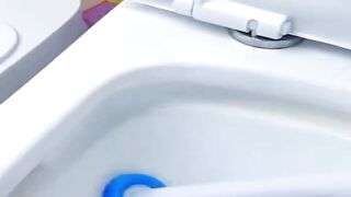 The Secret Toilet Hack Influencers Swear By  No More Gross Brush