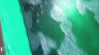 Lakukan hal ini agar lele tidak LEPASTURUN Lendir