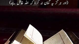 Hart touching Quran paak