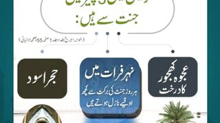 Islamic Learning 786 Jannat ke 3 cheezein zameen par hazratali quotes islamicfigure