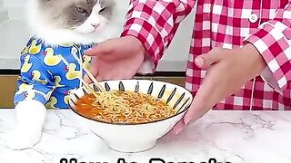 Remake Your Ramen