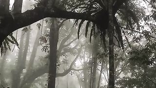 A place rarely visited