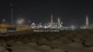 كل من عليها فان