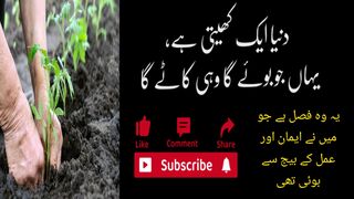 دنیا ایک کھیتی ہے  یہاں جو بوئے گا وہی کاٹے گا