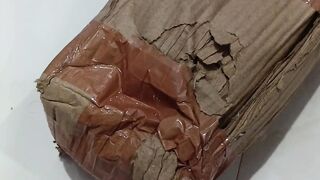 Pack Of 4 Climbing Rose Plants  Unboxing  SK NEON