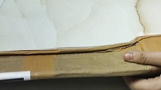 Nagpur Mandarin Orange All Time Variety Grafted Santra Fruit Plants Tree