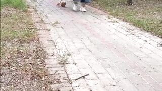 Woman Walking Her Tiny Dog in a Peaceful Park