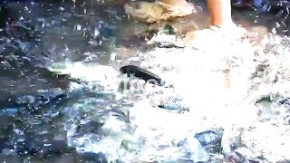 Without a Refrigerator, Traditional Chinese Fermented Fish Using Ancient Handmade Craft