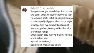 Jualan lele konsumsi ECERAN memang untung BESAR, Tapi RESIKONYA juga besar