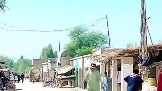 Funny clip