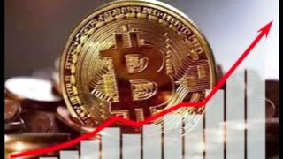 WealthWave Review - Fake or Real?