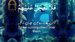 Tilawat e Quran