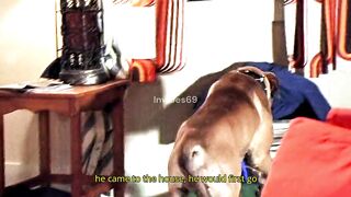 This Calm Dog Had A Shocking Secret