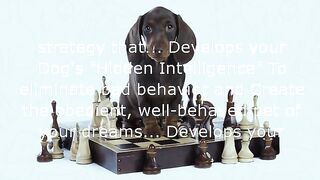 Dear Fellow Dog Lover