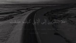 Reading Quran