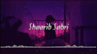 Aaja Ro Len De Shaarib Sabri lofi song