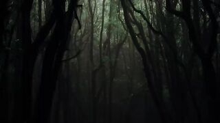 relaxing rain sound