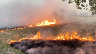 Grass Burning on the Field