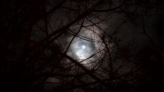moon beauty