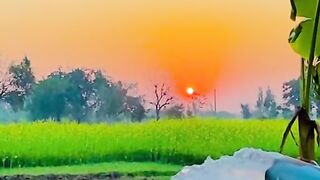 Vallage beautiful ???? tiktok status